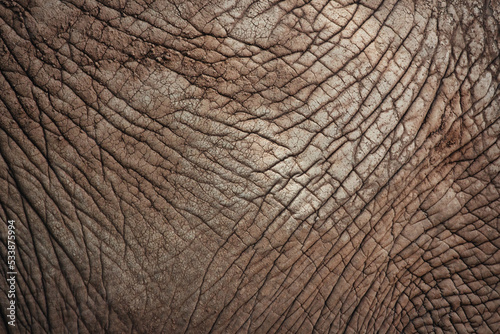 Close-up of light brown elephant hide skin texture - perfect for abstract pattern background