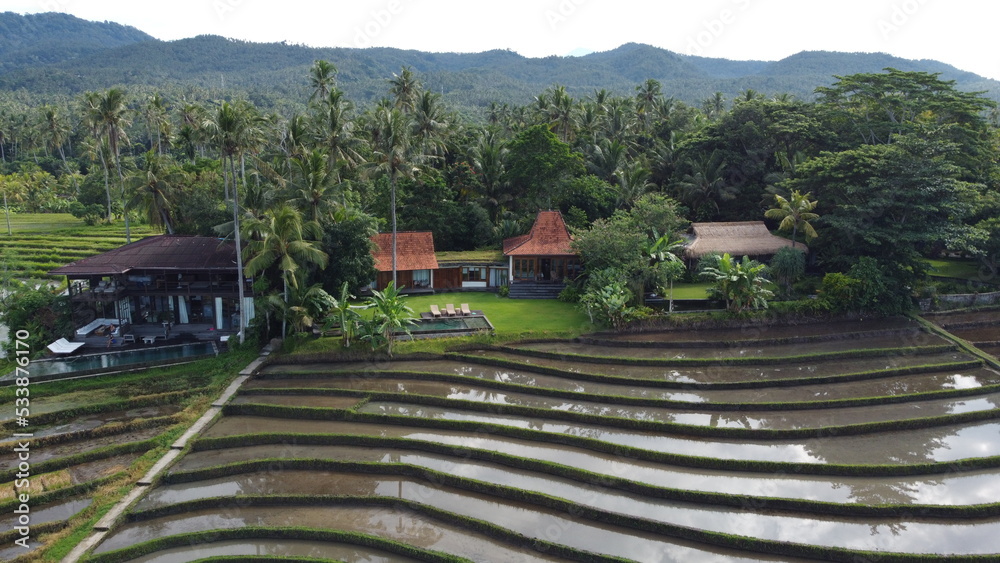 rice terraces in island