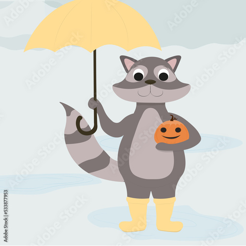 Racoon with umbrella and pumpkin under the rain