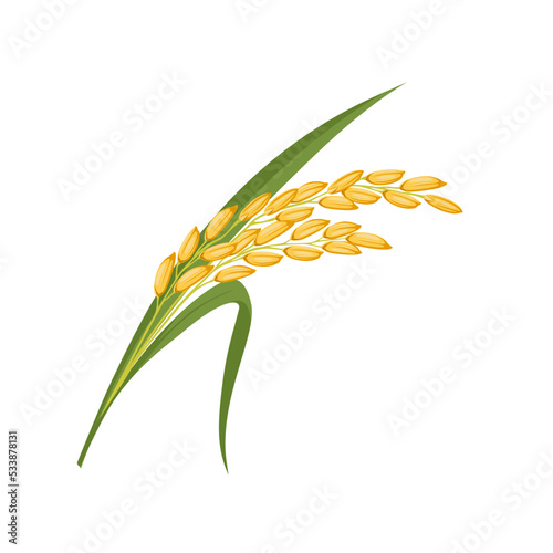 Vector illustration, Paddy with green leaves, isolated on a white background.