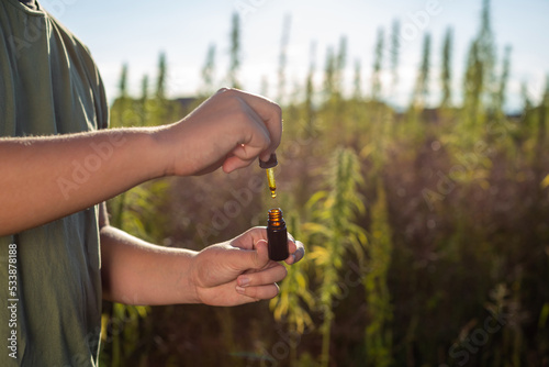 Hands holding bottle and dropper filled with CBD hemp oil, cannabis plants on field in the background