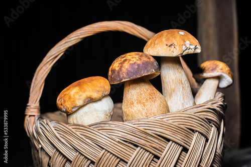porcini mushrooms in a basket