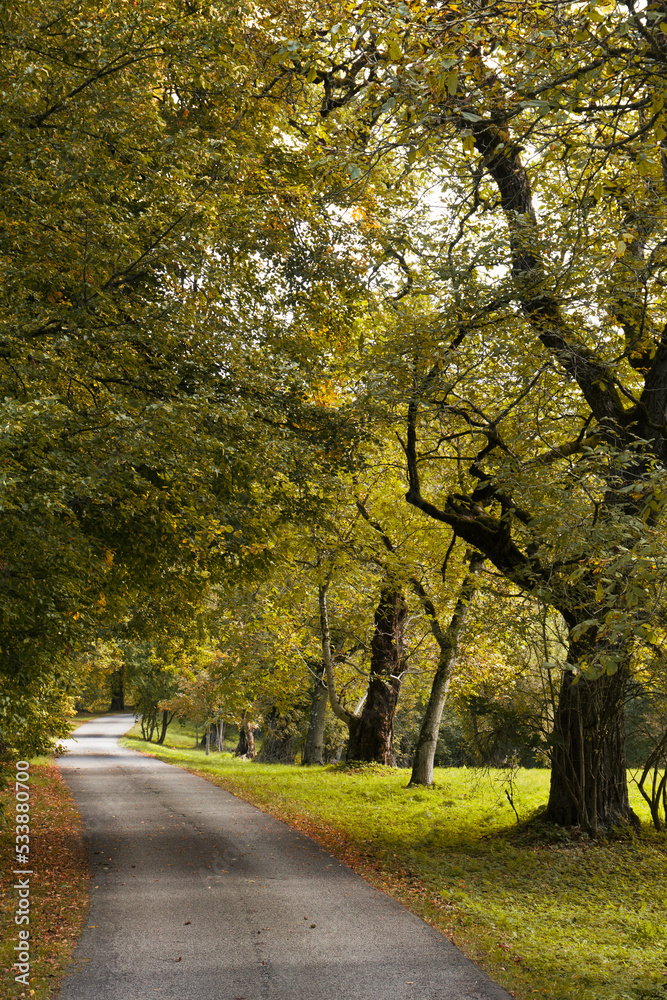 Naklejka premium herbstspiergang