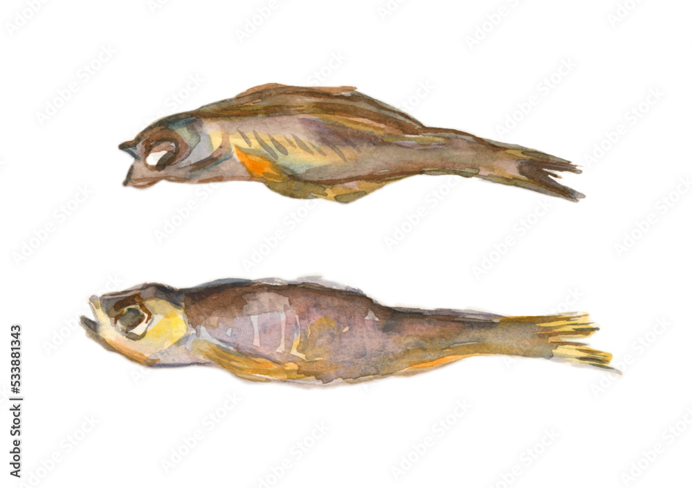 Two smoked, salted fish, herring, mackerel, hand-drawn vector illustrations in sketch style, isolated on a white background. Drawing by hand two smoked, salted fish, food to beer drinks Two smoked, salted fish, herring, mackerel, hand-drawn vector illustrations in sketch style, isolated on a white background. Drawing by hand two smoked, salted fish, food to beer drinks