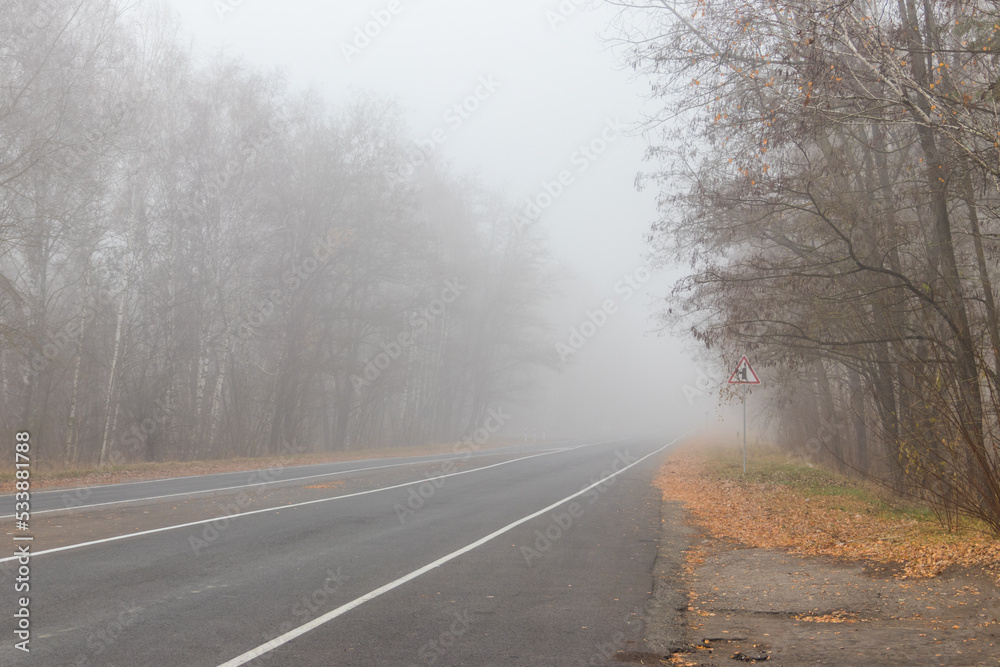 Fototapeta premium Foggy asphalt road through a forest at autumn
