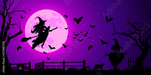 Silhouette of a beautiful witch flying on a broom against full moon light, wizard with cat, bats. Halloween purple violet background, fantasy and magic. Vector illustration