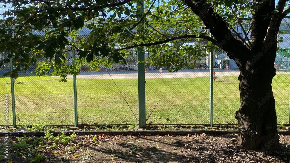 Baseball grass field in the Sumida district by the Sumida river, on a sunny summer day year 2022 Baseball grass field in the Sumida district by the Sumida river, on a sunny summer day year 2022