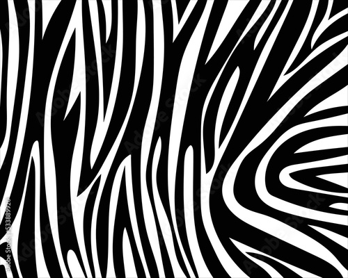 seamless zebra skin. vector eps 10