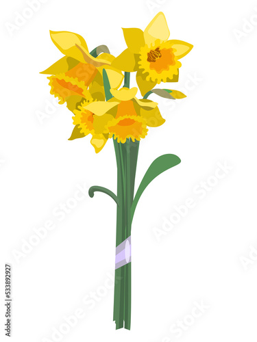 Bouquet of yellow daffodils isolated on white photo