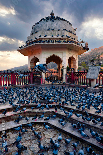 Canvas Print Feeding Pigeons At Amer Fort In Jaipur, Rajasthan, India