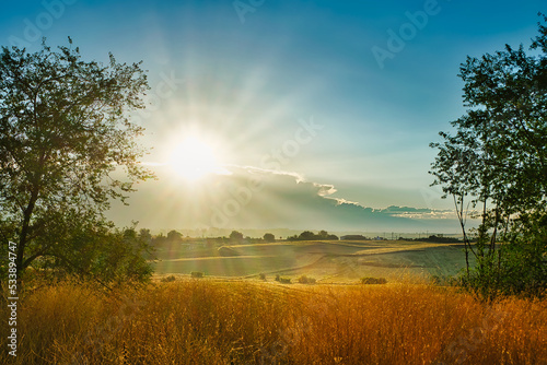 Backlit landscape between trees of a sunrise with the sun's rays illuminating the crop fields. 
