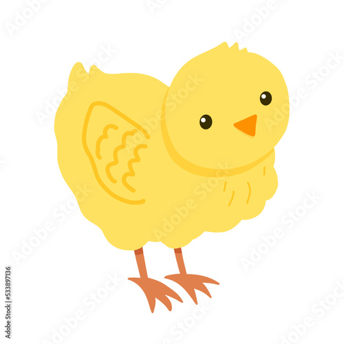 Cute yellow chick isolated on white background. Baby vector flat illustration with farm bird