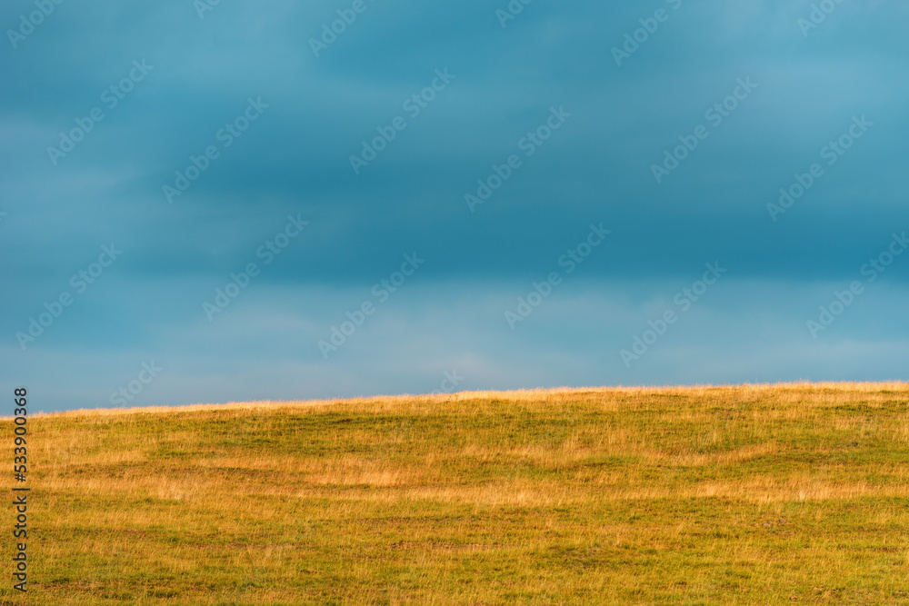 Fototapeta premium Grass meadow with dark overcast sky in background