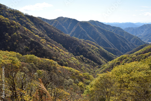 Climbing mountains in Autumn, Nikko, Tochigi, Japan  © Tonic Ray Sonic
