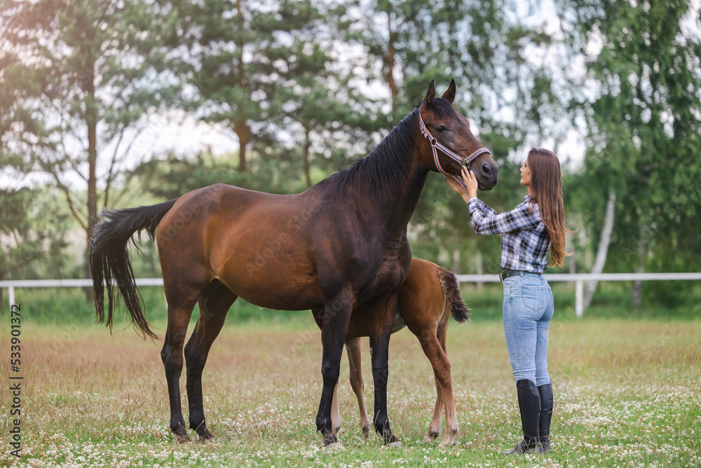 Young woman standing with her horses in field
Young woman standing with her horses in field