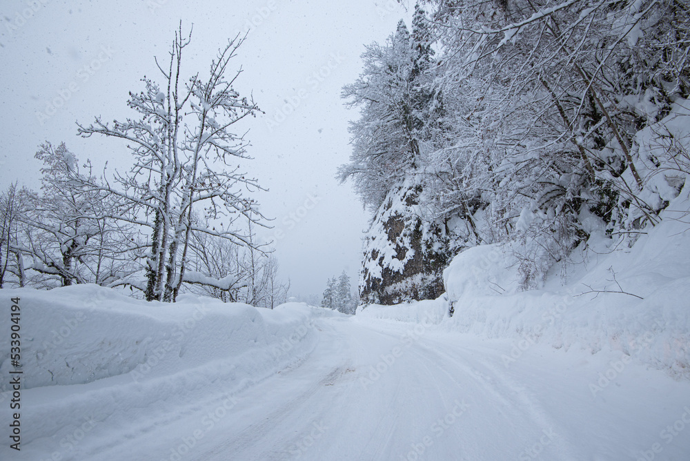 Fototapeta premium snow-covered mountain forest road. Winter time