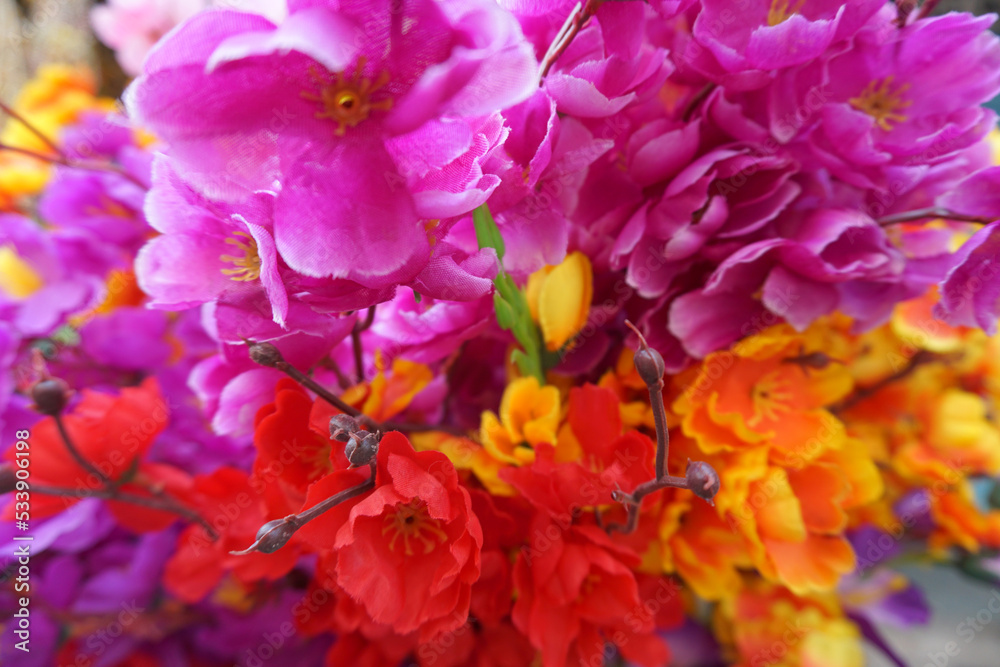 Fototapeta premium Beautiful and colorful flowers as background.