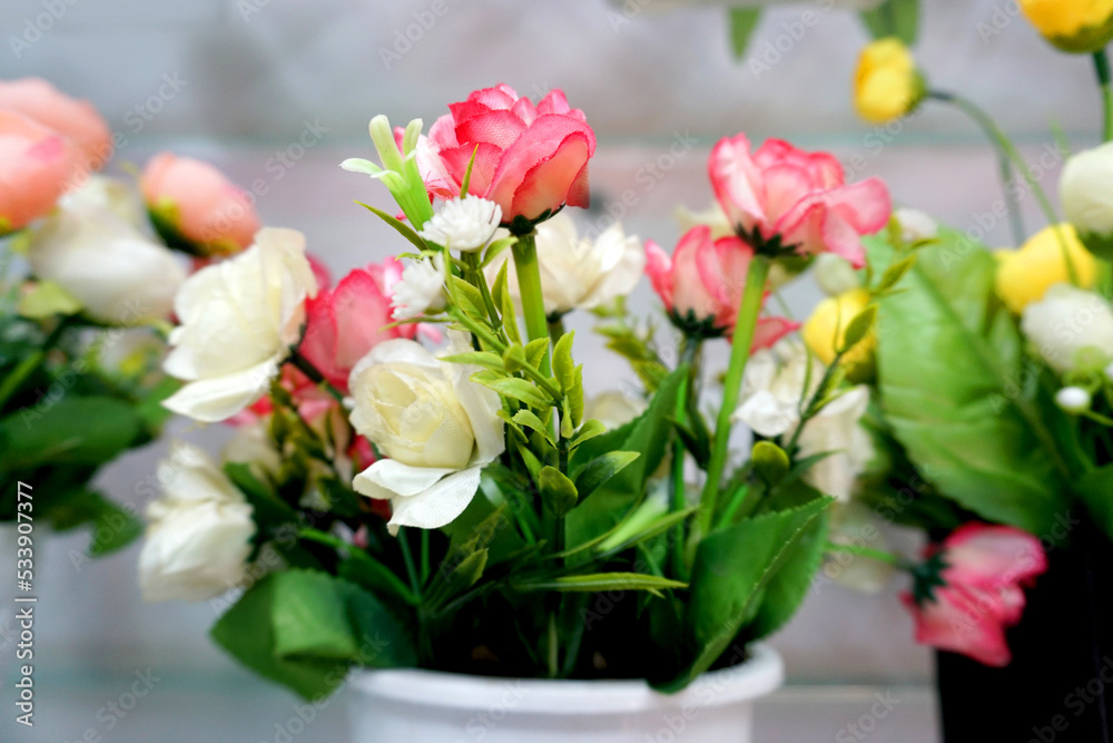 Beautiful and colorful flowers are arranged in a row. Beautiful and colorful flowers are arranged in a row.