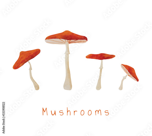 Autumn mushroom paintings
