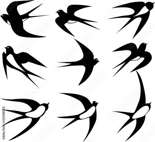 Silhouette of a flock of white-bellied swallows. Black contour of a flying bird. Swallow flying. Tattoos. Vector illustration on a white background.