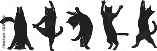 black cat silhouette jumping and standing