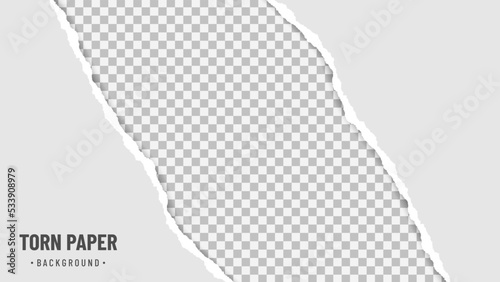 Torn paper edges on transparent background