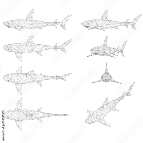 Set with a wireframe of a shark in different positions from black lines isolated on a white background. 3D. Vector illustration.