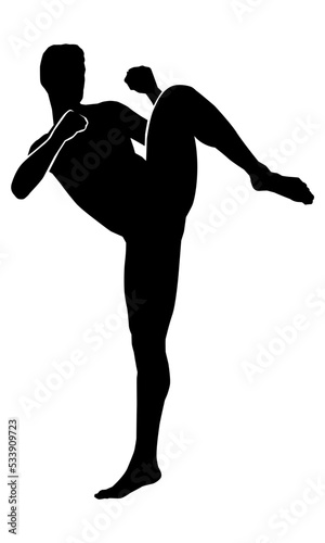 vector of silhouette martial arts high kick on white backbround
