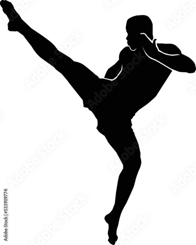vector of silhouette martial arts high kick on white backbround