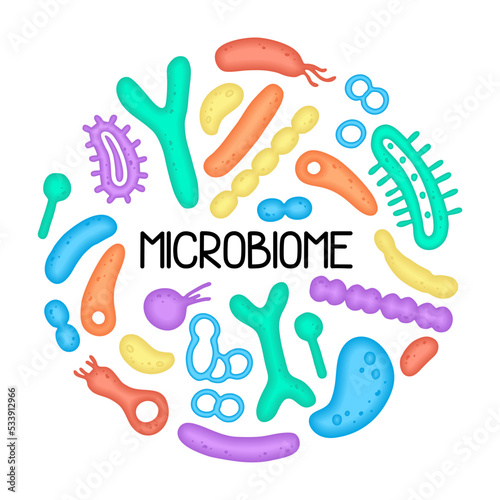 Microbiome illustration of bacteria. Vector image. Gastroenterologist. Bifidobacteria, lactobacilli. Lactic acid bacteria. Illustration in a flat style.