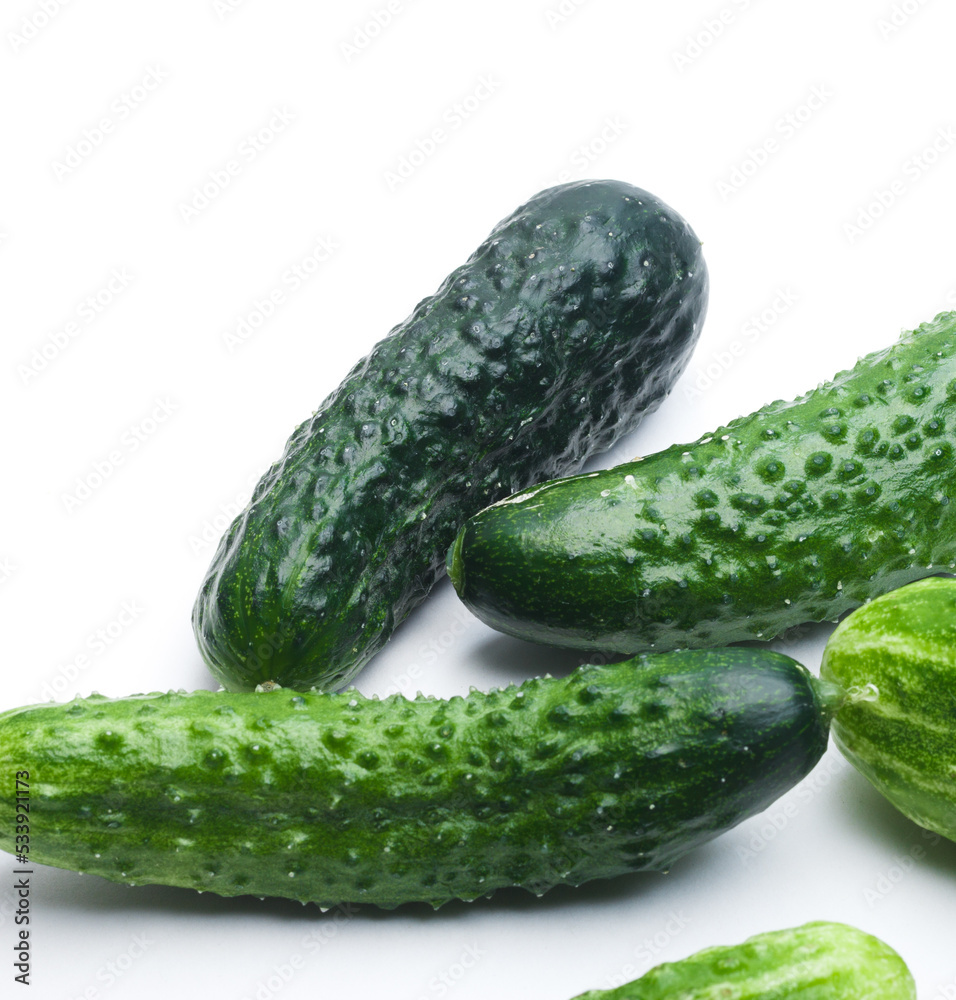 cucumber on a white background cucumber on a white background