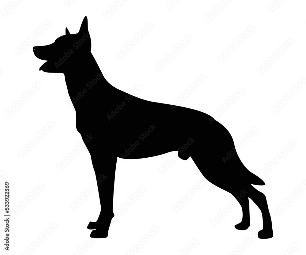 german shepherd dog breed vector illustration.A detailed animal silhouette of a pet dog. For shephard lovers every where. Black full height silhouette of a dog.