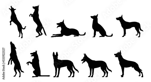 german shepherd dog breed vector illustration.A detailed animal silhouette of a pet dog. For shephard lovers every where. Black full height silhouette of a dog. photo