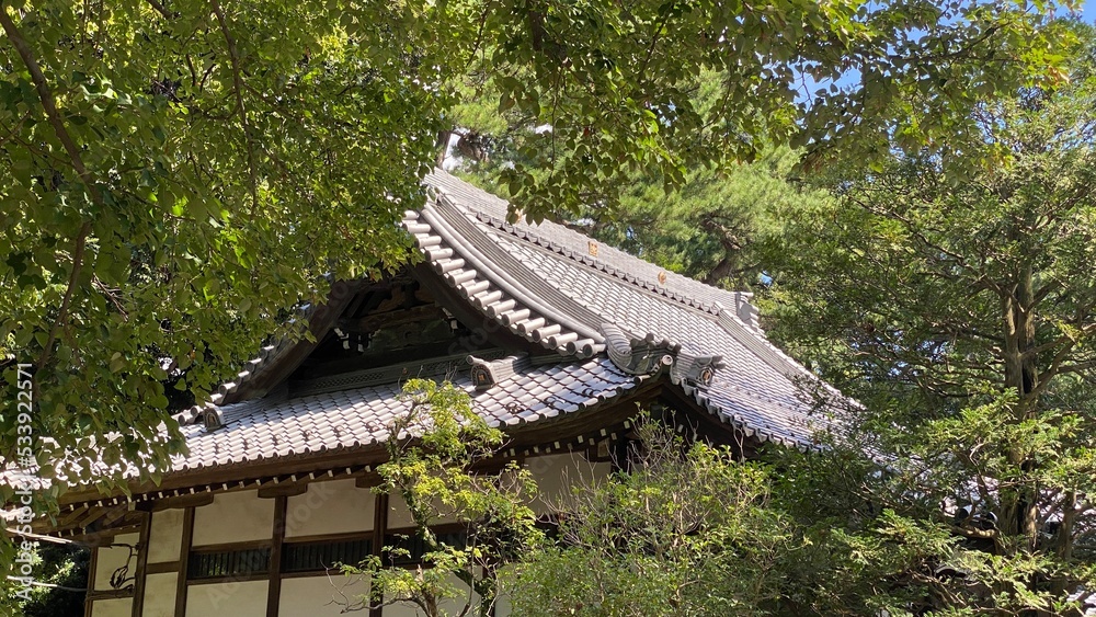 beautiful traditional rooftop of Japanese temple house, Chiba prefecture of Japan, year 2022 summer beautiful traditional rooftop of Japanese temple house, Chiba prefecture of Japan, year 2022 summer