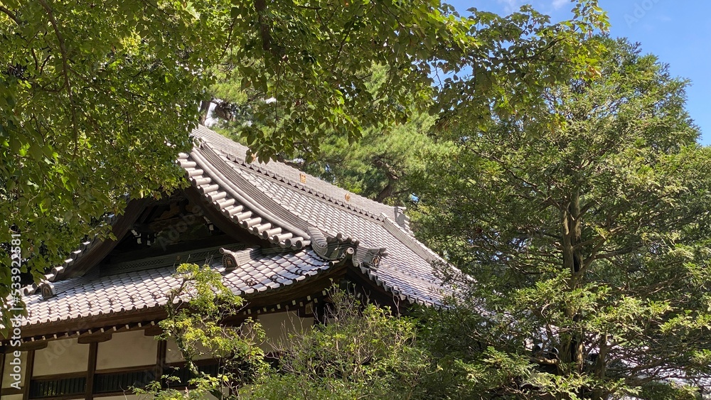 beautiful traditional rooftop of Japanese temple house, Chiba prefecture of Japan, year 2022 summer beautiful traditional rooftop of Japanese temple house, Chiba prefecture of Japan, year 2022 summer