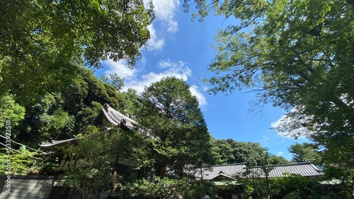 beautiful traditional rooftop of Japanese temple house, Chiba prefecture of Japan, year 2022 summer