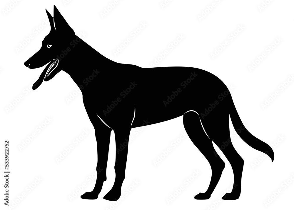 german shepherd dog breed vector illustration.A detailed animal silhouette of a pet dog. For shephard lovers every where. Black full height silhouette of a dog.