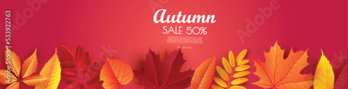 Abstract vector illustration Autumn sale background with falling autumn leaves.