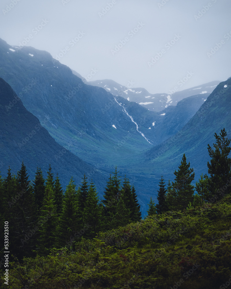 Obraz premium Scenery of green mountains and evergreen forest during a hike in summer. Nature of Norway. Fir trees on a hill. Scenic view of the Norwegian landscape. Vertical shot.