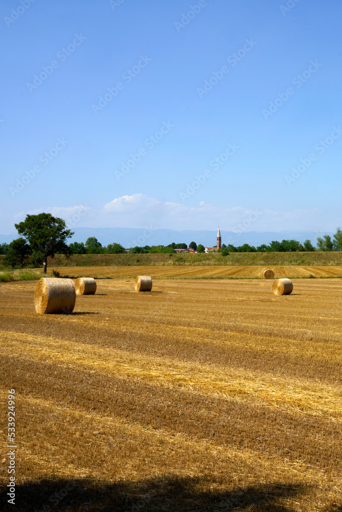 Country landscape near Longare, Vicenza, Italy