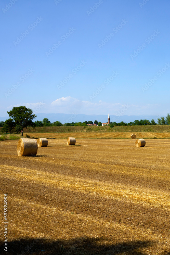 Country landscape near Longare, Vicenza, Italy Country landscape near Longare, Vicenza, Italy