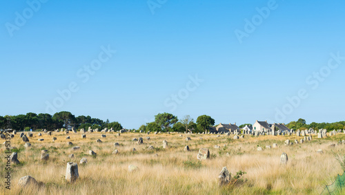 The mysterious rows of megalithes (menhir) in the archeological site of Carnac, Brittany, France. Trees with blue sky on the background.