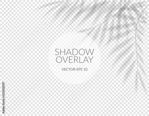 Realistic shadow. Vector with shadow overlays on a transparent background. Tropical transparent shadows mockup