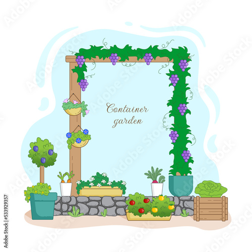 Container vegetable garden, organic vegetable garden, plants in containers