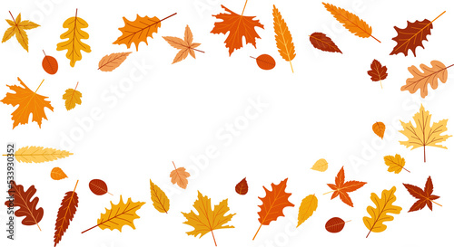 Autumn leaves frame.
