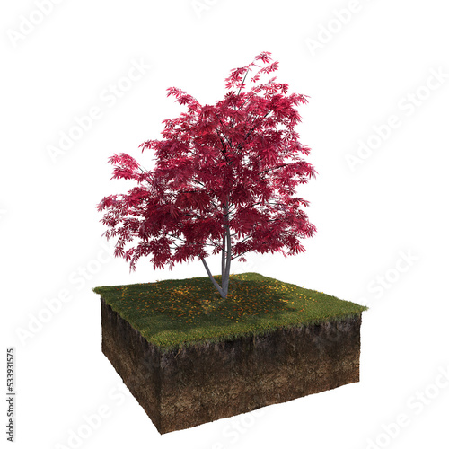Autumn tree and soil cut under it. isolate on a transparent background, 3D illustration, cg render