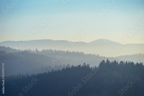 winter landscape with mountains on horizon. fir trees covered with snow. beautiful winter landscape. Carpatian mountains