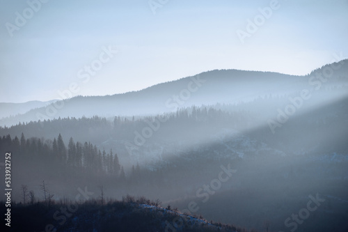 winter landscape with mountains on horizon. fir trees covered with snow. beautiful winter landscape. Carpatian mountains