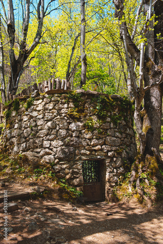 old wolf trap in the forest. 