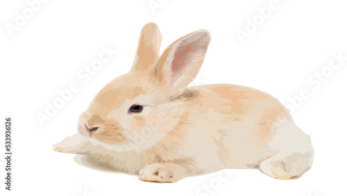 Cute bunny. Vector illustration of a cute yellow Easter bunny isolated on a white background.